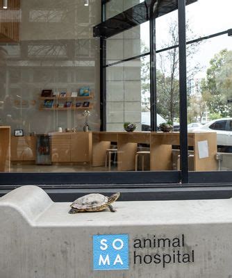 SoMa Animal Hospital, San Francisco, CA .